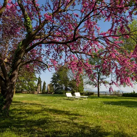 Il Castello Κατάλυμα σε φάρμα